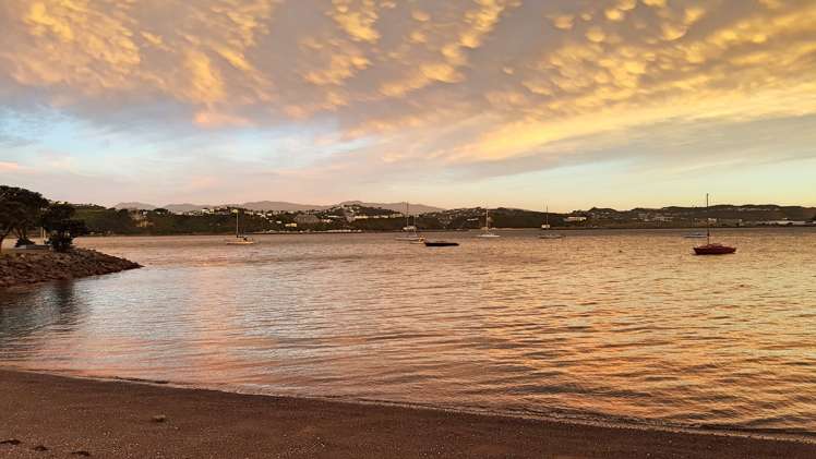 450 Evans Bay Parade Hataitai_18