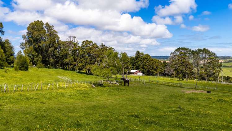 89 Hamilton Road Waimauku_28