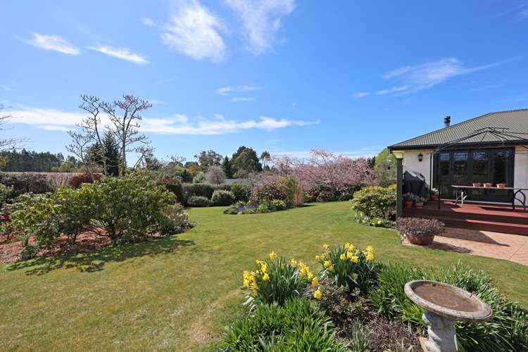 331 Homestead Road, Weston Oamaru_23