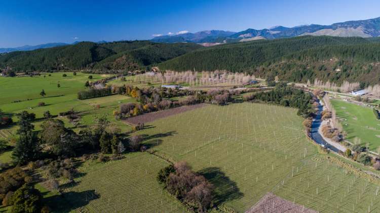 695 Wakefield-Kohatu Highway Wakefield_5