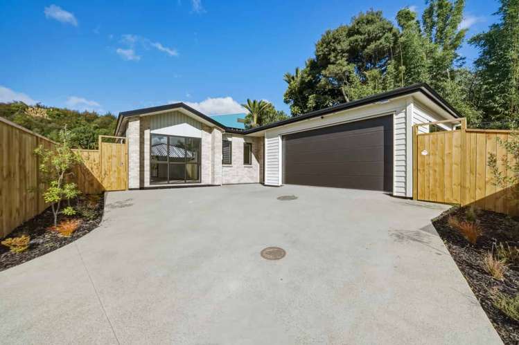 18 Rongoa Maori_0