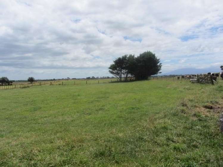 54 Denby Road Hawera_5