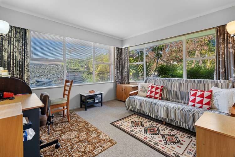 52 Vine Avenue Maungatapu_18