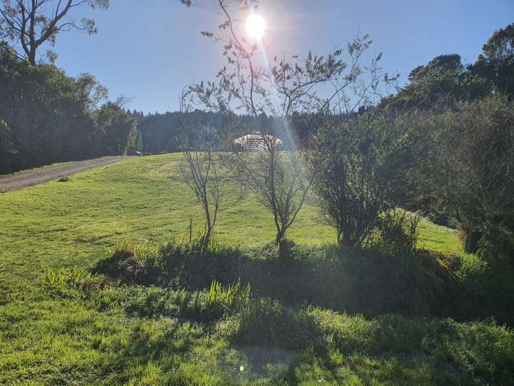 Stafford Road Hokitika_1