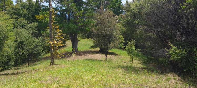 57 Tarapatiki Drive Whitianga_5