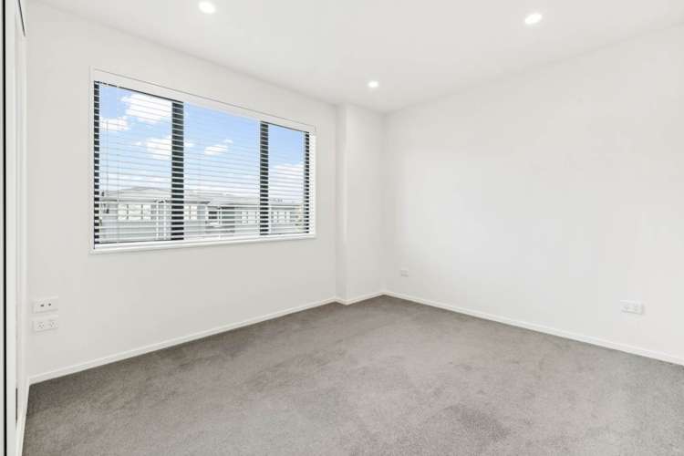 9 Serpent Road Flat Bush_10