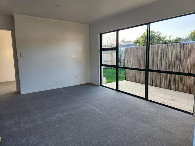 54B Kowhai Street Hamilton Lake_3