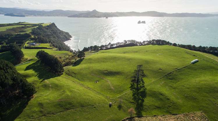 282 Lees Road Hahei_6