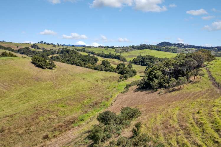 108 Monk Road Mangapai and Surrounds_36