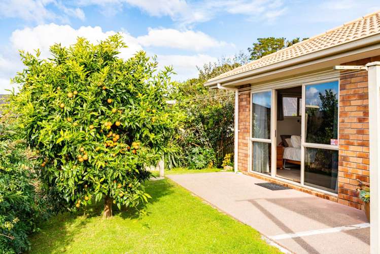 14 Maxwell Place Kamo_17