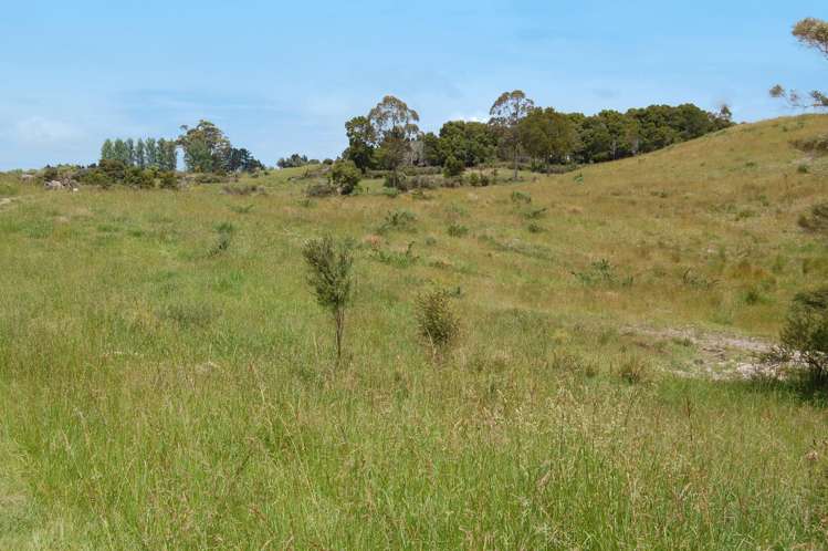 138 Rangiora Road Kaiwaka_14