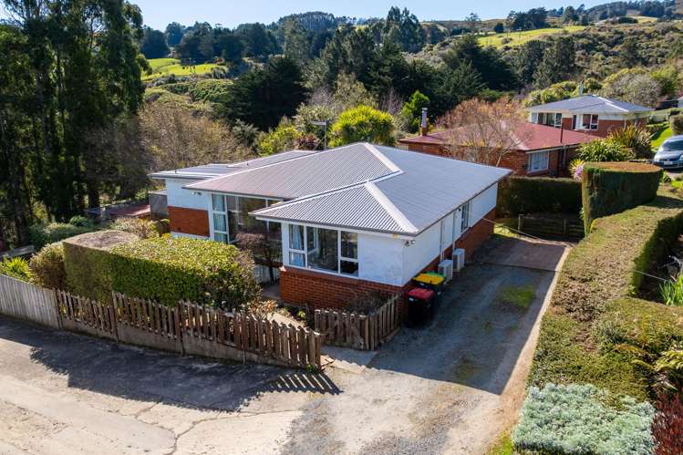 411 Pine Hill Road Pine Hill_3