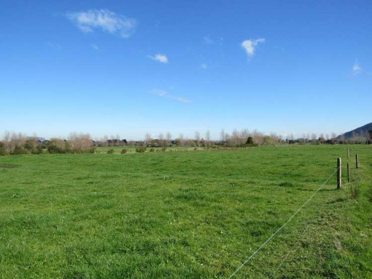 387 Te Aroha-Gordon Road Hauraki Surrounds_5