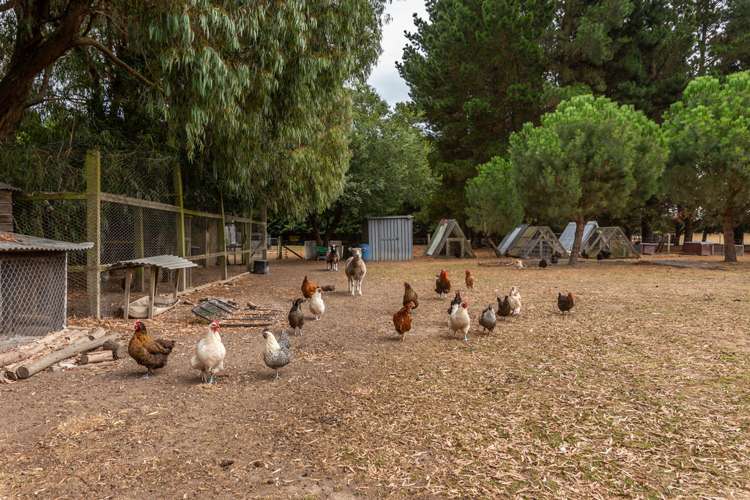 22 Armack Drive Rolleston_19