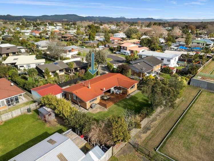 20 Walter Park Whakatane_18