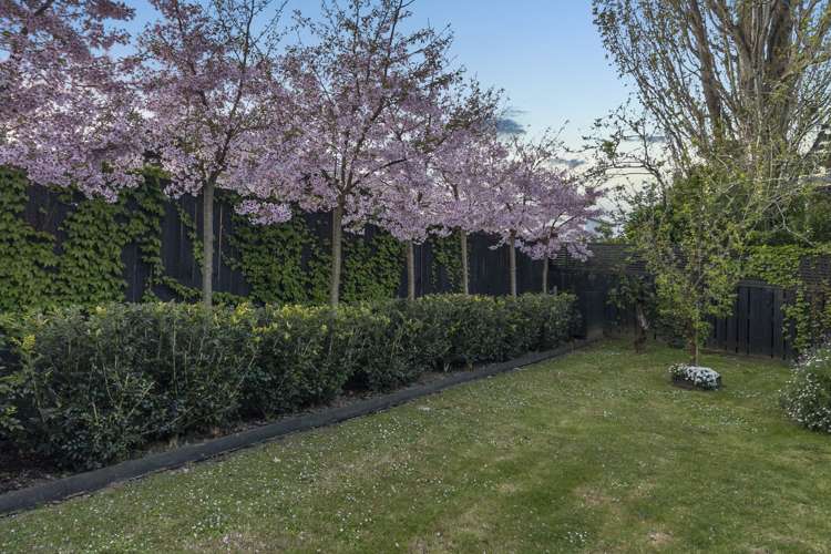 2 Ridge Road Oneroa_20