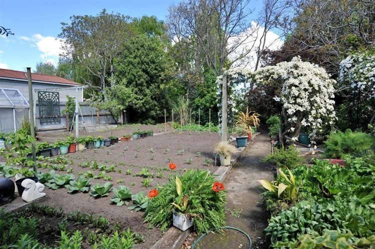 8 Lincoln Road Hillmorton_23