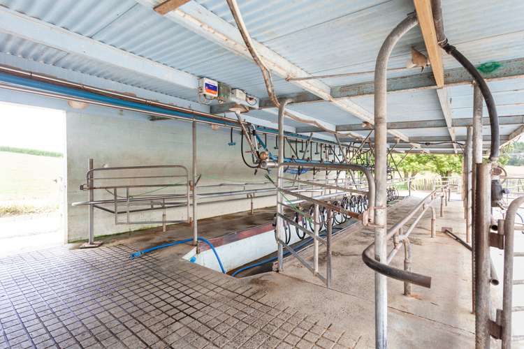 83 Waikuku Road Morrinsville_7