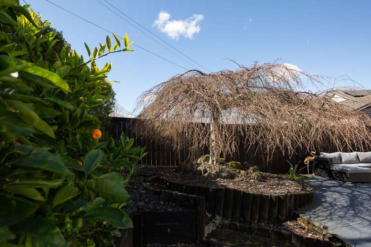 135 Rimu Street Maeroa_16