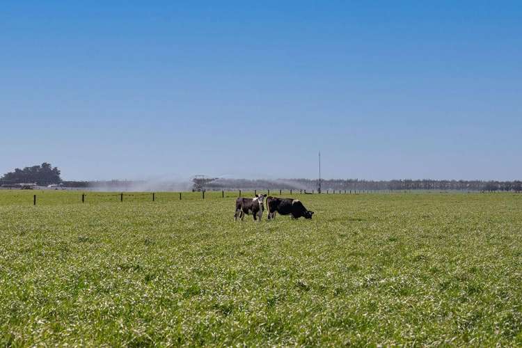 1280 Back Track Rakaia_12