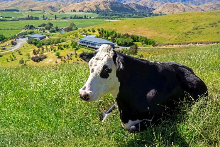 73 Kahu Way Hawkesbury_48