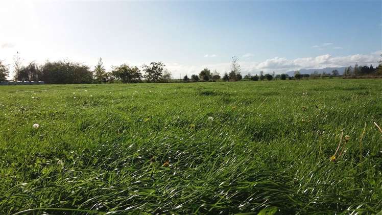 7917 State Highway 27 Matamata_1