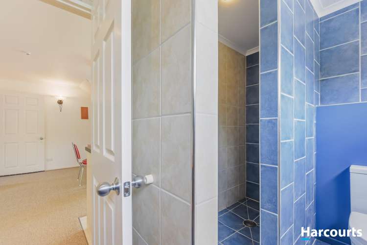 444 Riwaka Valley Road Motueka_28