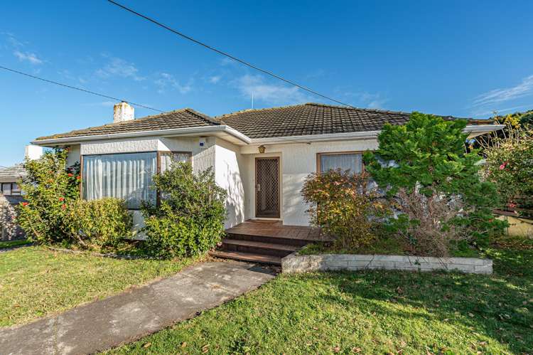 17 Puriri Street_0