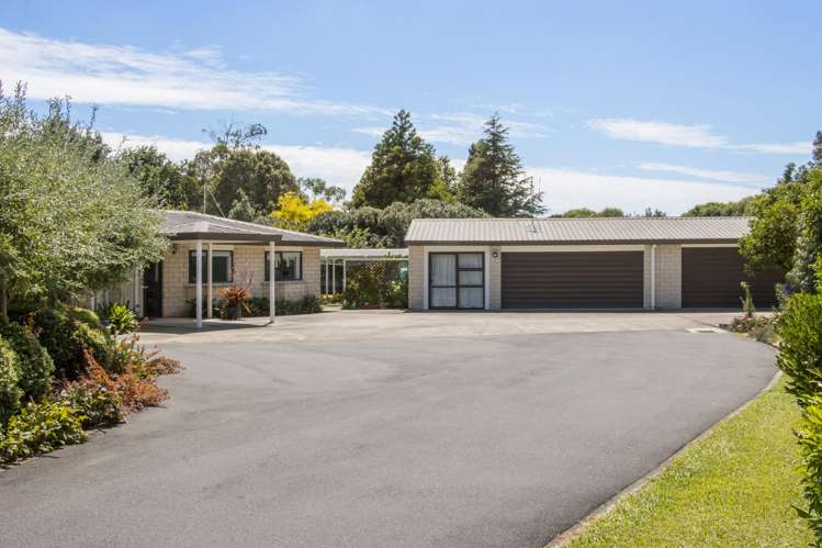 356 Tuapiro Road_2