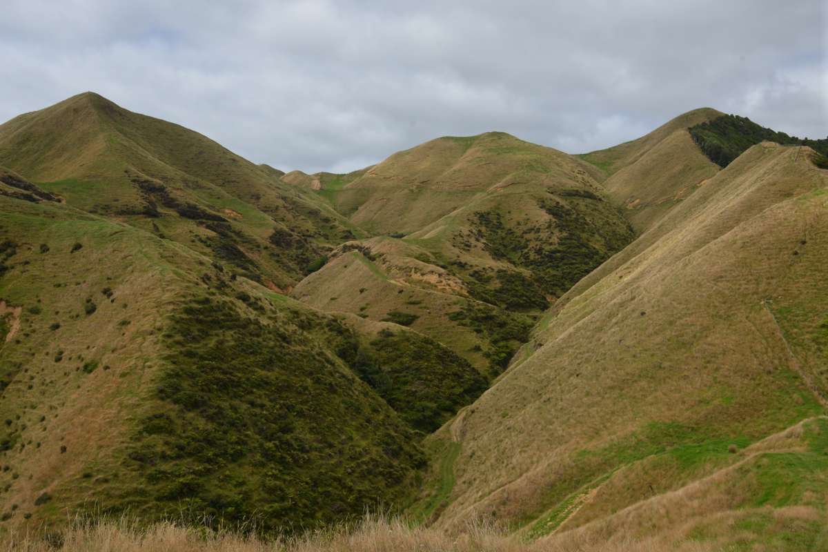 1295 Marokopa Road_4