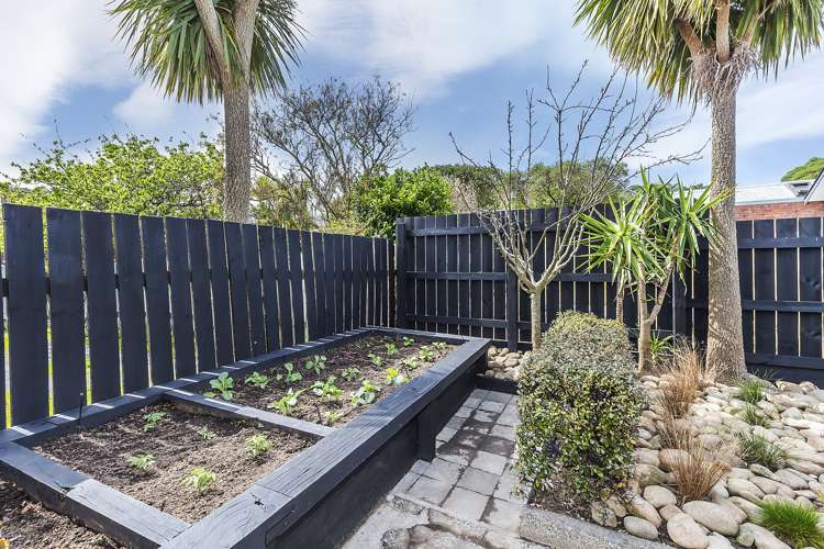 17 Picton Avenue Newtown_12