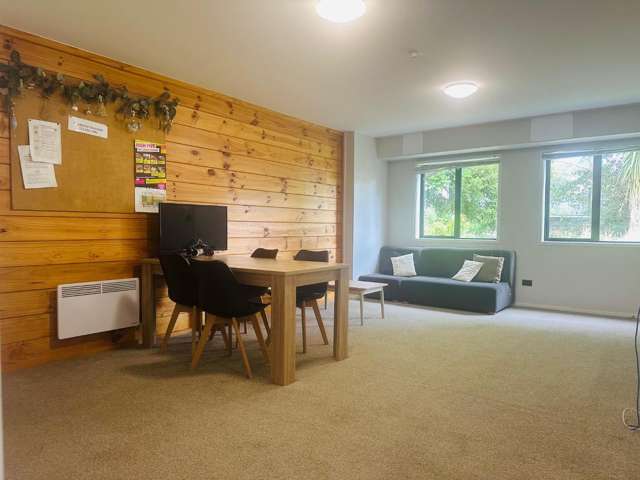 4/1510 Great North Road Waterview_4