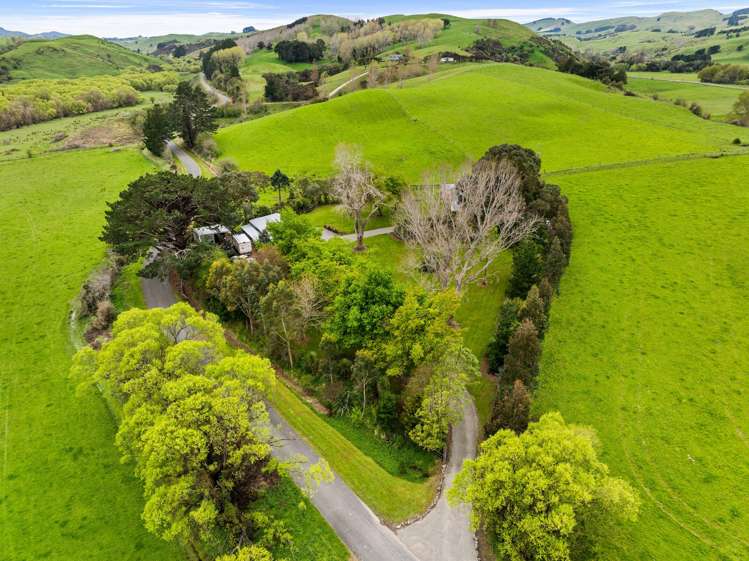 42 Jacksons Line Masterton_31