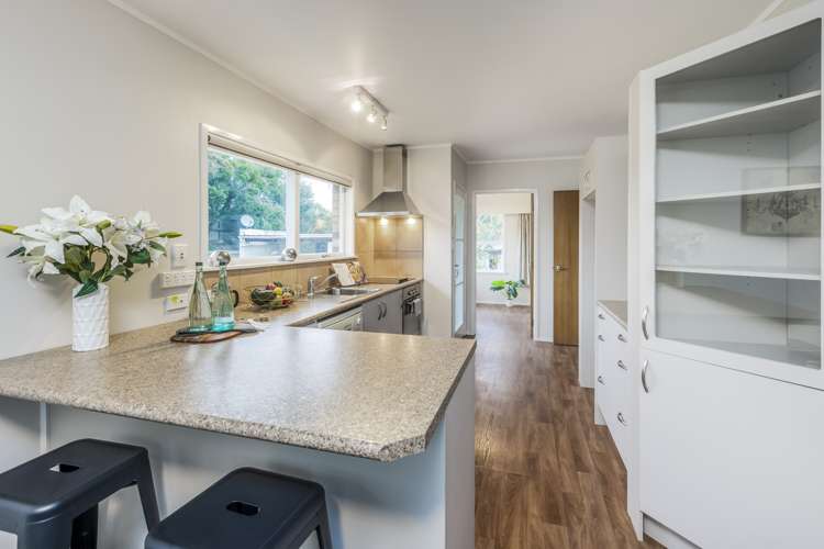 43 Peek Street Ellerslie_7