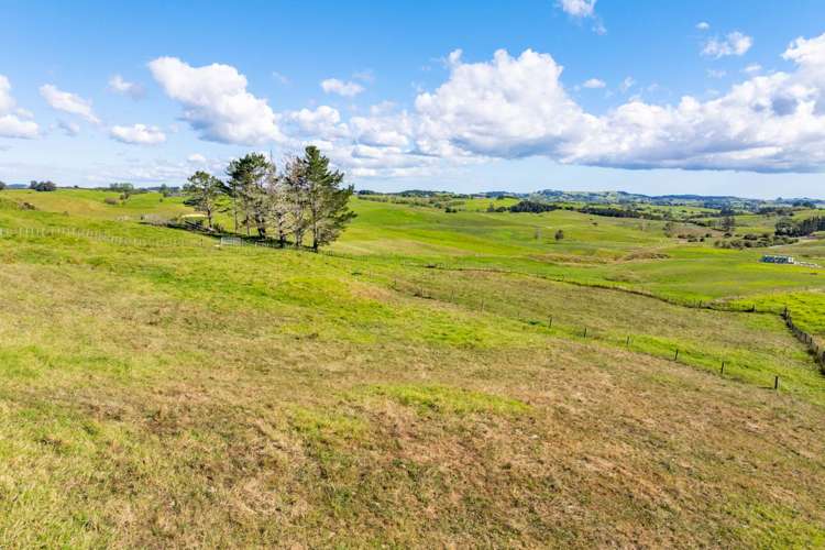 463 Baldrock Road Kaiwaka_29