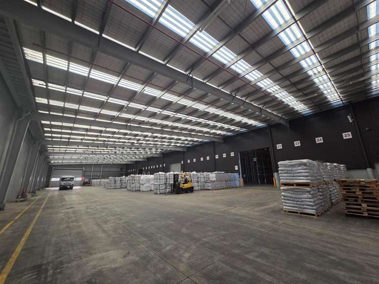 75 Seymour Street Hornby_5