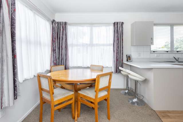 29 Plunket Street Tamatea_4