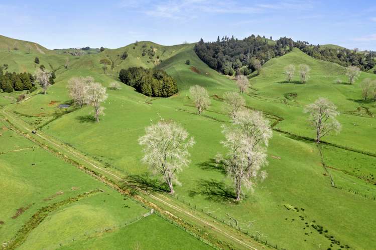 1741 Tikitiki Road Te Kuiti_19