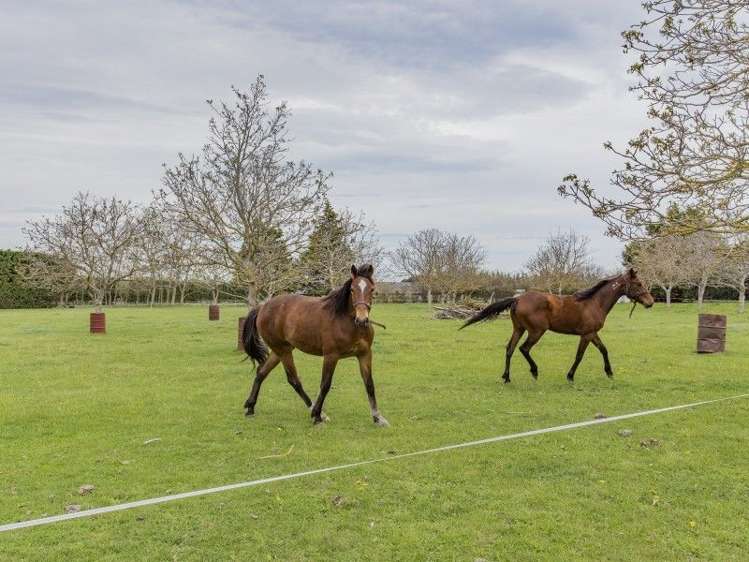 1018 Newtons Road Rolleston_19