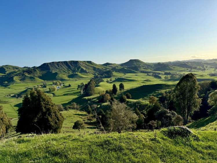 515 Ruanui Road Taihape_18