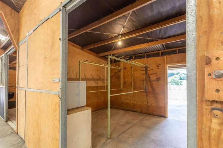 235B Tramway Road Pukekohe_11