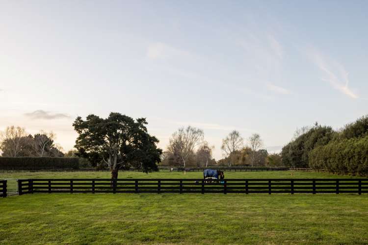 81 Fuchsia Lane Tamahere_19