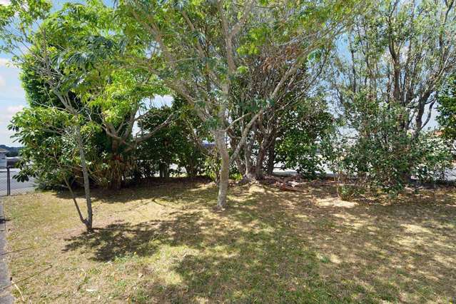 537 Richardson Road Mount Roskill_3