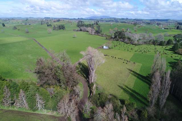 116 Lewis Road Hauraki Surrounds_4