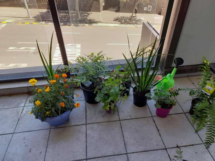 302/22 Nelson Street Auckland Central_7