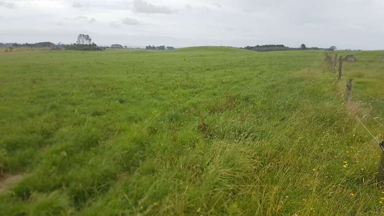 531 Ngariki Road Rahotu_10