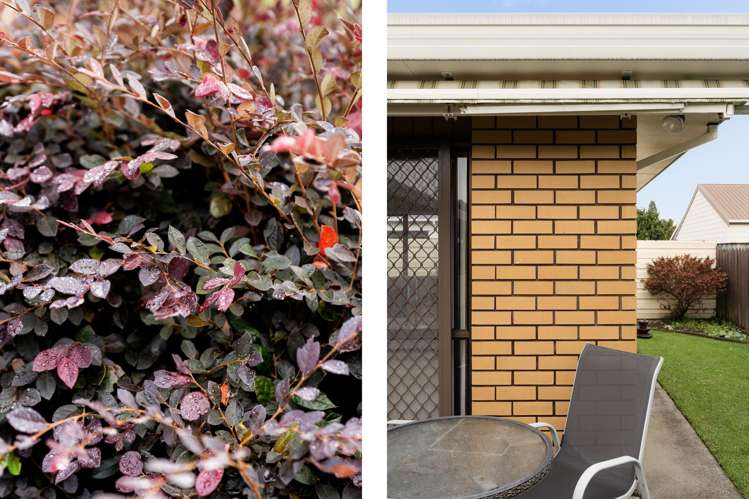 93a Sixteenth Avenue Tauranga South_7