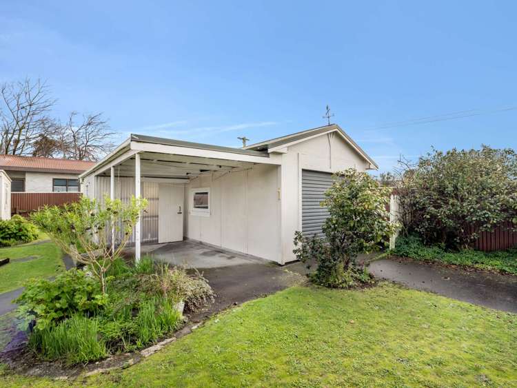 10 Burns Street Tawhero_24