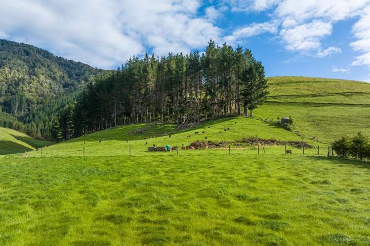 Lot 2, Maungatapu Road Pelorus Bridge_18