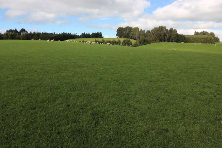 348 Keppoch Road West Otago Surrounds_19